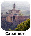 Capannori